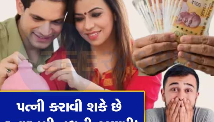 તમારી પત્ની ઘરે બેઠા કરાવી શકે છે 5 લાખ રૂપિયાથી વધુની કમાણી, સમજો કઈ રીતે થશે આ કામ