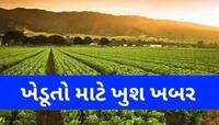 સરકાર 10 હજારથી વધુ ખેડૂતોને ચુકવશે સહાય, કમોસમી વરસાદને કારણે થયું હતું નુકસાન