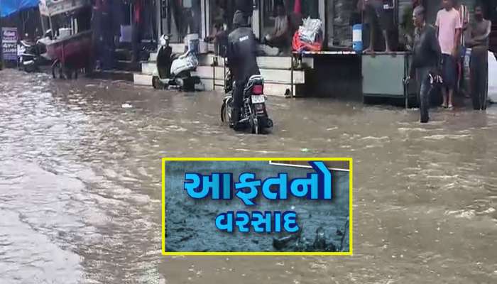 નવસારીમાં પૂર આવ્યું : શાળા-કોલેજ બંધ, રેલવે ટ્રેક પર પાણી ફરી વળતા ટ્રેનો મોડી પડી 