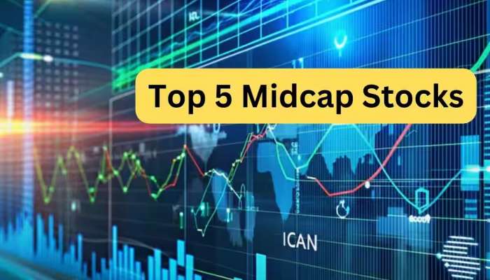 રેકોર્ડ હાઈ બજારમાં આ 5 મિડકેપ Stock કરાવશે બમ્પર કમાણી, જાણો ટાર્ગેટ અને સ્ટોપલોસ