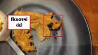 છીં...છીં...છીં...!!! આ VIDEO જોઈ કાફેમાં જવાનું છોડી દેશો, હવે નીકળી એવી વસ્તું કે.