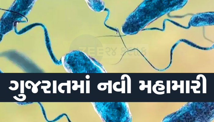ગુજરાતમાં નવી મહામારીએ માથુ ઉંચક્યું, આ શહેરમાં મળ્યા નવા કેસ, આ રીતે બચો