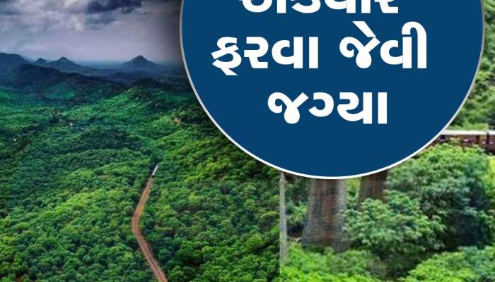 માઉન્ટ આબુ છોડો...ગુજરાત નજીક આવેલા આ સ્થળે મળશે એક સાથે કાશ્મીર-દાર્જિલિંગ જેવી મજા!