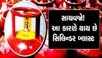 Gas Cylinder: શું ગેસ સિલિન્ડરની પણ હોય છે એક્સપાયરી ડેટ? સેફ્ટી માટે જરૂર જાણો