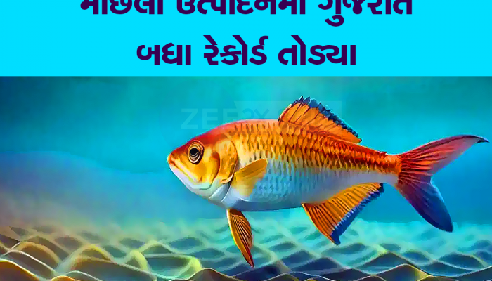 બ્લ્યૂ ઈકોનોમીમાં ગુજરાતનો મોટો ફાળો : દરિયાઈ માછલી ઉત્પાદનમાં દેશમાં બીજા નંબરે 