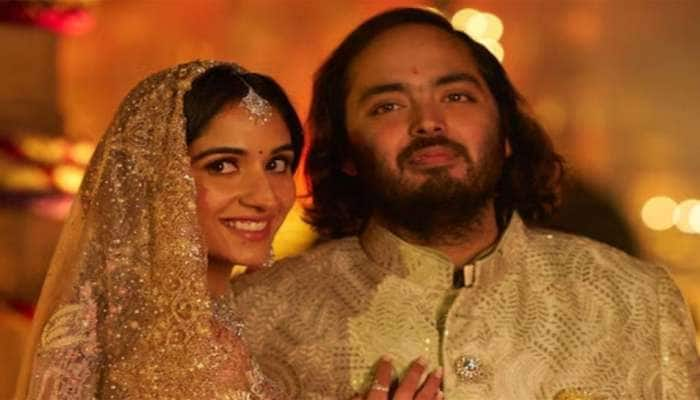 Anant Ambani: અનંત-રાધિકાના લગ્નમાં પીરસવામાં આવશે ખાસ ચાટ, કીંમત જાણી લાગશે આંચકો