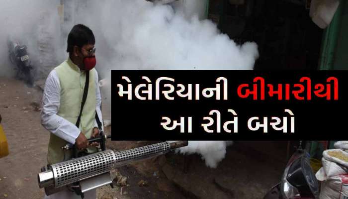 શું ગુજરાત સરકાર વર્ષ 2030 સુધીમાં આ રોગનું નામોનિશાન મિટાવી દેશે! આવો છે એક્શન પ્લાન