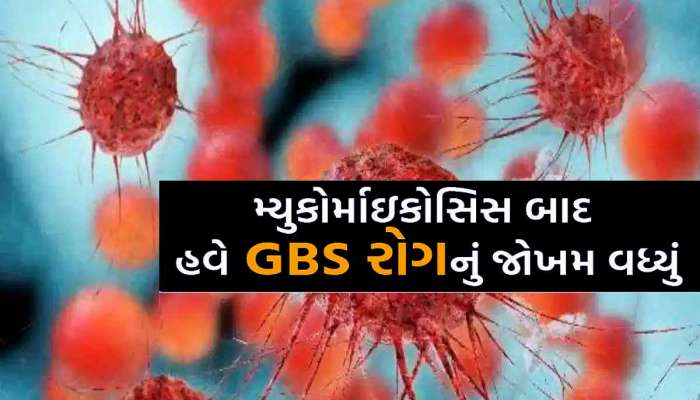 ભયાનક બિમારીથી રીબાય છે ફૂલ જેવું બાળક! લાખો રૂપિયા છે ખર્ચો, શું કોઈ ભામાશા બચાવશે જીવ?