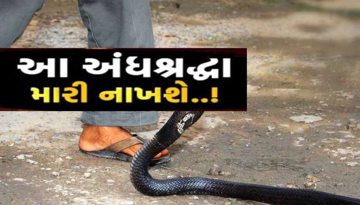 ગીર સોમનાથમાં 'સર્પદંશથી પણ ઝેરી બની અંધશ્રદ્ધા', લોકોને ડોક્ટરોની ખાસ ચેતવણી, વાંચી લેજો નહીં તો...
