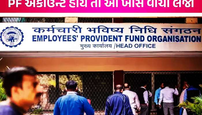 PF ઉપાડવાની ભૂલ ના કરતા, હવે EPFO માં મળશે મ્યુચ્યુઅલ ફંડ અને શેર બજાર જેવું તગડું રિટર્ન!