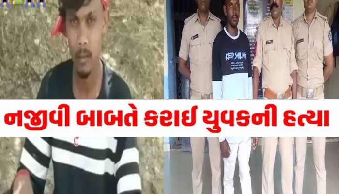 પેટ્રોલ પંપની લાઈનમાં ઉભા રહેવા બાબતે તાપીમાં કરપીણ હત્યા, ગળાથી પકડી RCC રોડ પર પછાડી દીધો 