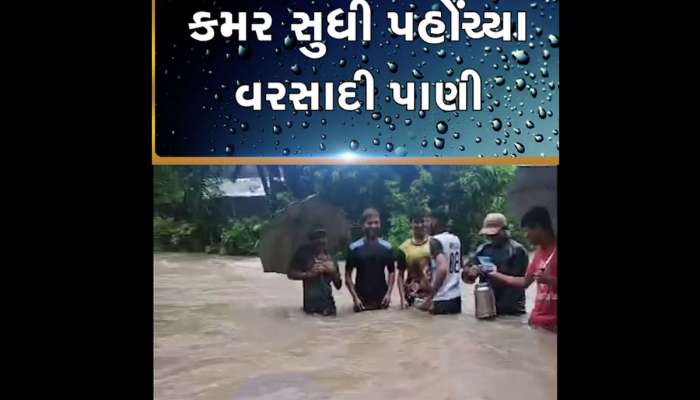 દક્ષિણ ગુજરાતમાં મેઘરાજાની તોફાની બેટિંગ : વલસાડ-નવસારીમાં આભ ફાટવા જેવી સ્થિતિ, ચોતરફ પાણી 