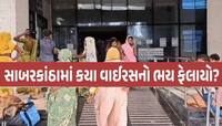 ગુજરાતમાં ચાંદીપુરમ વાયરસનો પગપેસારો! 17 દિવસમા 4 બાળકોના મોત, સોમવારે ઉકેલાશે રહસ્ય