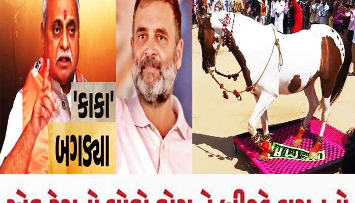 ‘લગનમાં નાચનારા ઘોડા પર વરઘોડો કાઢવો હોય તો કોંગ્રેસવાળાને બોલાવી લેજો’ નીતિન કાકાનો Video Viral