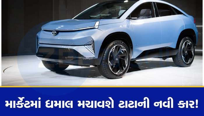 ટાટાની આ નવી કારનો જોવા મળશે જોરદાર ક્રેઝ! આગામી મહિને લોકોના દિલ પર 'રાજ' કરવા આવી રહી છે Curvv