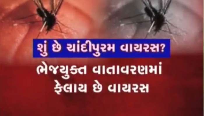 ગુજરાતમાં કોલેરા બાદ ચાંદીપુરમ ફેલાયો, આ એક માખીથી બચીને રહેજો