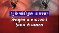ગુજરાતમાં કોલેરા બાદ ચાંદીપુરમ ફેલાયો, આ એક માખીથી બચીને રહેજો