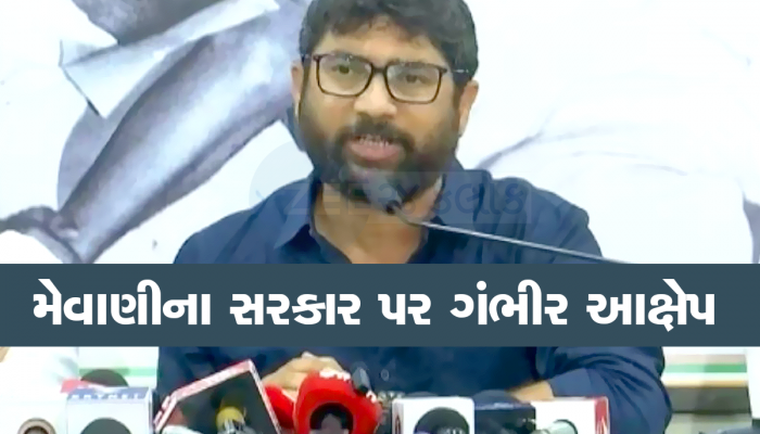 મેવાણીનો સનસનાટીભર્યો આક્ષેપ : કોંગ્રેસને મત આપનારાઓને ટાર્ગેટ કરાય છે, આ બે જ્ઞાતિ બની ભોગ