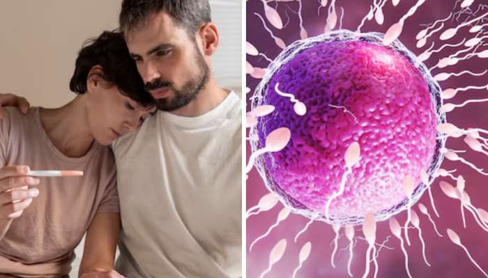 Increase Sperm Count: દવા વિના સ્પર્મ કાઉન્ટ વધારવા હોય તો ફોલો કરો આ 5 ટીપ્સ, પિતા બનવાનું સપનું જલદી થશે પુરું