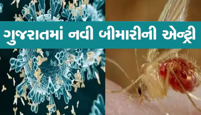 ગુજરાતના 13 જિલ્લાઓમાં પહોંચ્યો મોતનો વાયરસ, 15 બાળકોને ભરખી ગયો, નવી મહામારી આવી રહી છે