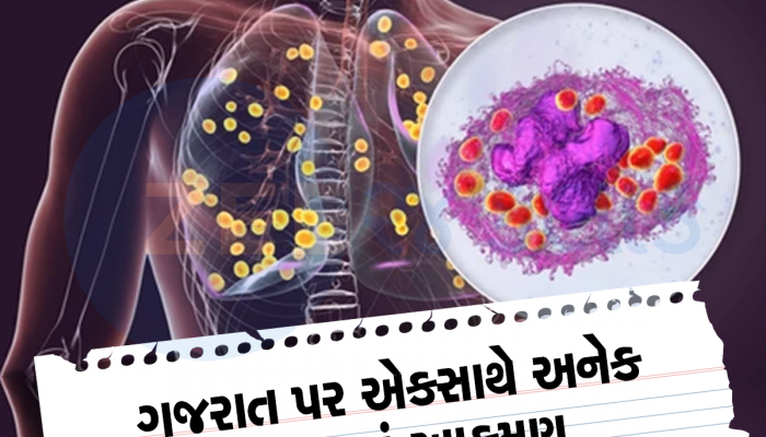 સુરતની મહિલા દુર્લભ વાયરસના ઝપેટમાં, મહાબળેશ્વરની ગુફામાંથી ચામાચીડિયાનો ચેપ લઈ આવી