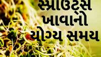 ચોમાસામાં ફણગાવેલાં કઠોળ ખવાય કે નહીં? જાણો કઈ ભૂલ પડી શકે છે ભારે