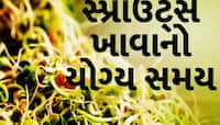 ચોમાસામાં ફણગાવેલાં કઠોળ ખવાય કે નહીં? જાણો કઈ ભૂલ પડી શકે છે ભારે