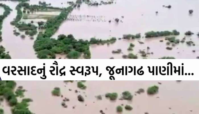 જૂનાગઢમાં ભારેથી અતિભારે વરસાદે ભુક્કા કાઢ્યા! જાણો જળબંબાકાર પછી કેટલાં ગામોનો સંપર્ક કપાયો?