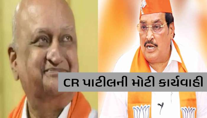 પાટિલના એક નિર્ણયથી ભાજપમાં ભૂકંપ; ધર્મેન્દ્ર શાહને કોષાધ્યક્ષ અને AMC પ્રભારી પદેથી હટાવ્યા!
