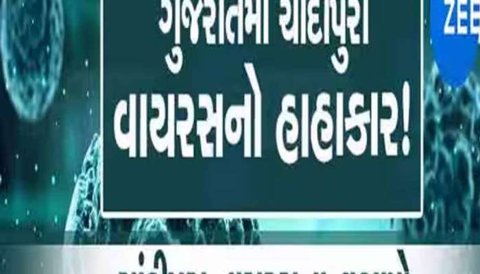 કાળમુખા કોરોના બાદ ગુજરાતમાં ચાંદીપુરા વાયરસથી હાહાકાર; 27 બાળકોનાં મોત, 71 શંકાસ્પદ કેસ નોંધાયા