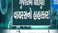 કાળમુખા કોરોના બાદ ગુજરાતમાં ચાંદીપુરા વાયરસથી હાહાકાર; 27 બાળકોનાં મોત, 71 શંકાસ્પદ