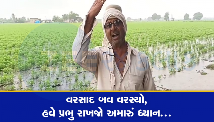 ગુજરાતના ખેડૂતો પર દુખનો પહાડ તૂટી પડ્યો, આફત બનેલા વરસાદે ચોમાસું પાક બરબાદ કર્યો