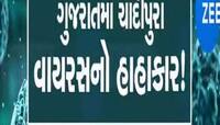 કોરોના બાદ ગુજરાતના ઈતિહાસમાં આ વાયરસે લીધો ભરડો; 43ની જિંદગી હણી, હવે શહેરોમાં દેખા