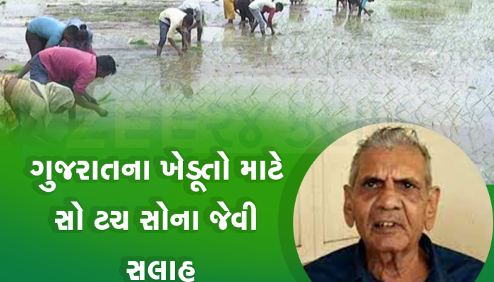 ઓગસ્ટમાં ચમકશે ગુજરાતના ખેડૂતોનું નસીબ, જો અંબાલાલે કહેલું આટલું કરશો તો ખેતીમાં બેડો પાર થઈ જશે 