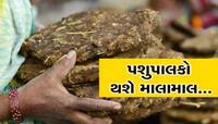 ગુજરાતના પશુપાલકોનાં હવે બદલાશે દિવસો! પહેલા દૂધના પૈસા, હવે છાણના, જાણો શું છે ભાવ?