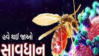 ચાંદીપુરા વાયરસને લઈને ગુજરાતીઓ સાવધાન! કોરોનાની જેમ ચિંતા વધારી, પૂનાની ટીમના ધામા