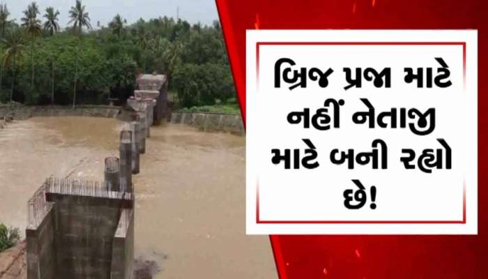 વાહ રે, ભાજપની વિકાસશીલ સરકારનો વિકાસ! નેતાજી ખેતરમાં જઈ શકે તે માટે બ્રિજનું નિર્માણ!
