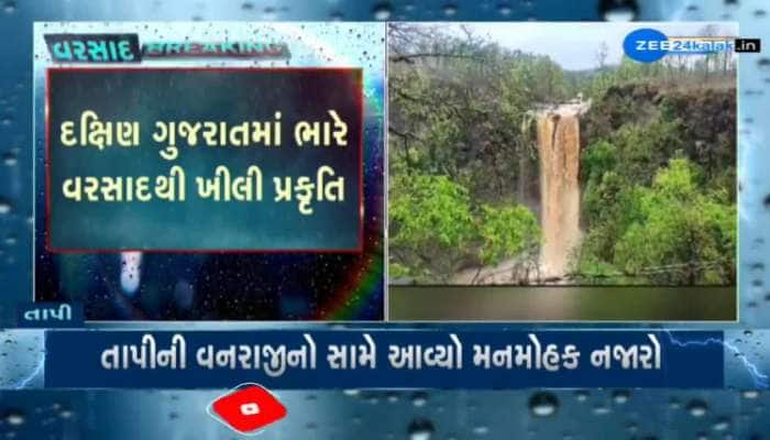 દક્ષિણ ગુજરાતમાં ભારે વરસાદથી ખીલી પ્રકૃતિ, તાપીના સોનગઢનો ચીમેર ધોધ સોળે કળાએ ખીલી ઉઠયો...