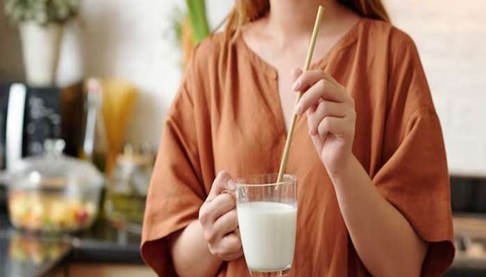 Milk: દૂધમાં શું ઉમેરીને પીવાથી શરીરને મળે છે વધારે પોષણ અને એનર્જી ? જાણી લો સાચો જવાબ