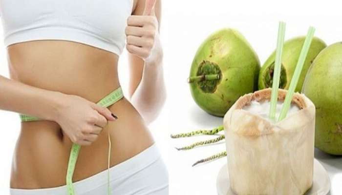 Weight Loss: ફુલીને ફુગ્ગા જેવું થયેલું પેટ ઝડપથી થઈ જશે આટલું ફ્લેટ, આ સમયે લીલું નાળિયેર પીવાનું શરુ કરી દો