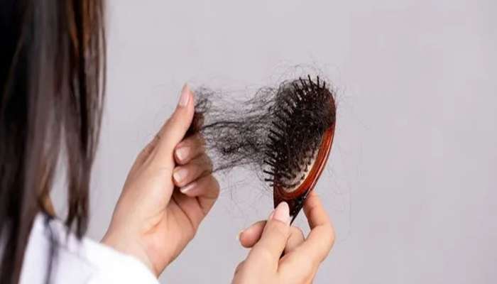 Hair Fall Solution: વાળ વધારે ખરતા હોય તો 5 રૂપિયાની આ વસ્તુનો કરો ઉપયોગ, વાળ ખરતા હંમેશ માટે બંધ થઈ જશે