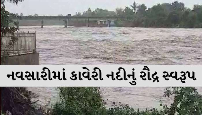 નવસારીમાં જળપ્રલય! બે નદીઓના વહેણથી કેમ સંકટમાં મૂકાયું માનવ જીવન? CM ખુદ રાખી રહ્યા છે નજર!