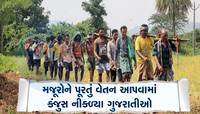 કંજૂસ ગુજરાતીઓ! સુખી સંપન્ન રાજ્ય હોવા છતાં મનરેગાના મજૂરોને ચૂકવાય છે ઓછો પગાર