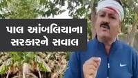 'અતિવૃષ્ટિને 15-15 દિવસ વીતી ગયા હોવા છતાં...', પાલ આંબલિયાના સરકાર પર ગંભીર આરોપ