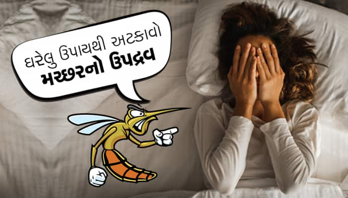 આ ઘરગથ્થુ ઉપાયથી મચ્છરનું મિટાવો નામોનિશાન, રાત્રે માણી શકશો મીઠી ઊંઘ