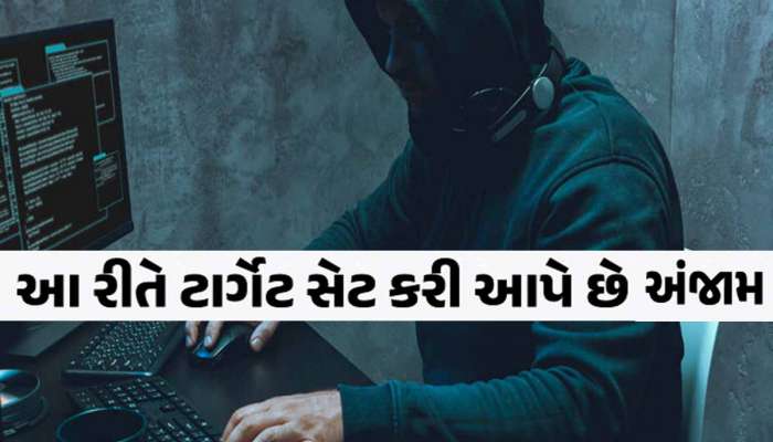 અમેરિકામાં રહેતા વૃદ્ધો ચેતજો! ગુજરાતની આવી ટોળકીથી સાવધાન, માર્યા છે અનેકના બૂચ