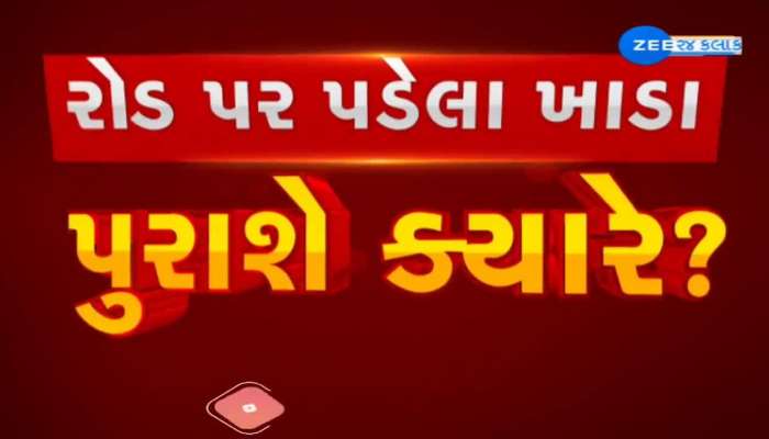 બોટાદના ગઢડામાં રસ્તાઓ પર ઠેર-ઠેર ખાડા, ખાડાઓથી વાહન ચાલકોને ભારે હાલાકી...