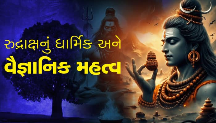 શ્રાવણમાં તમે પણ ધારણ કરો છે રુદ્રાક્ષ? જાણો ધાર્મકિ અને વૈજ્ઞાનિક મહત્વ