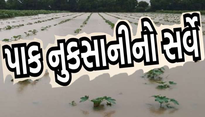 ગુજરાતના કયા વિસ્તારોમાં પુરો થયો પાક નુકસાની સરવે? કયા જિલ્લાઓના ખેડૂતોને સરકાર આપશે પૈસા?