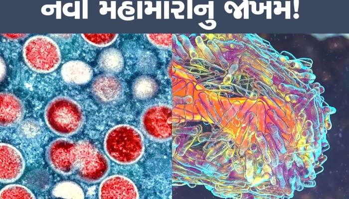 કોરોના બાદ વધુ એક મહામારી! WHO એ જાહેર કરી ગ્લોબલ પબ્લિક હેલ્થ ઈમરજન્સી